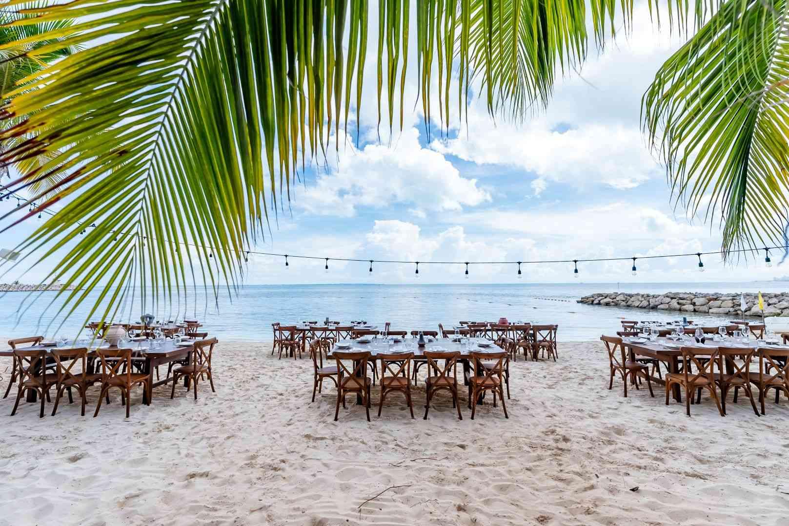 الشاطئ والطاولات والكراسي
